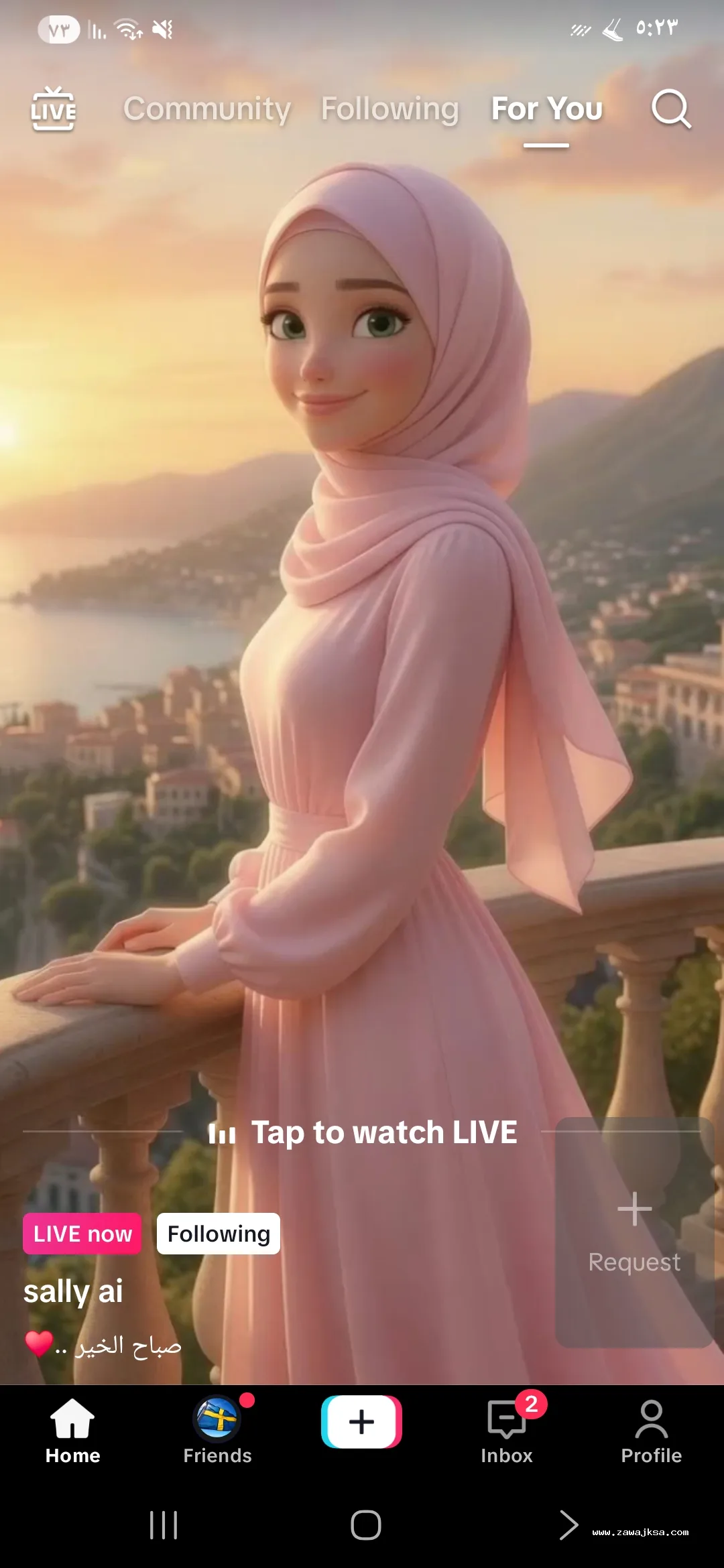 لانا آدام